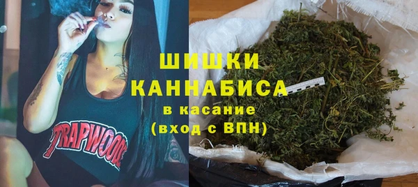 PSILOCYBIN Алзамай